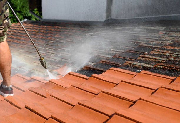 Best House Pressure Washing  in Lasalle, IL