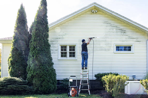 Local Pressure Washing Services in Lasalle, IL